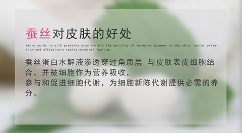 面膜手机端_03