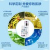  綻彡˪25g ӡŮͨװ